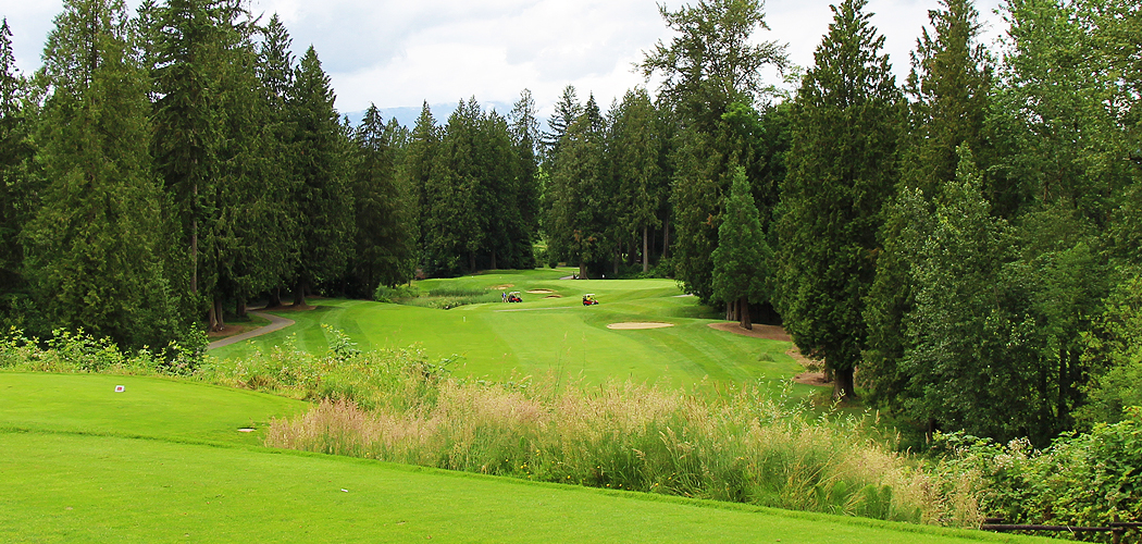 Redwoods Golf Course Review Langley BC Hole 13 Signature Hole - The Pinnacle