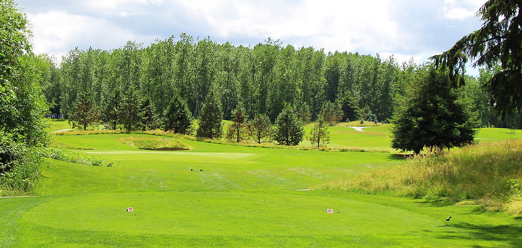 Redwoods Golf Course Review Langley BC Par 3