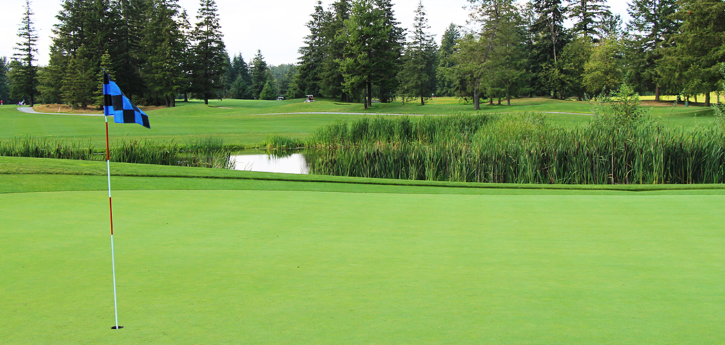 pagoda-ridge-golf-course-review-blue-flag-on-green