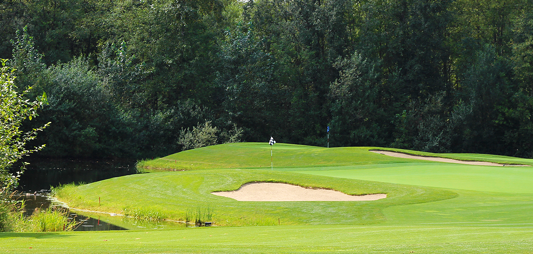 pagoda-ridge-golf-course-review-hole-3-green